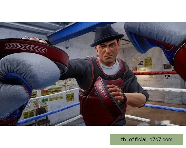 拳击界排名：挑战与荣耀齐飞