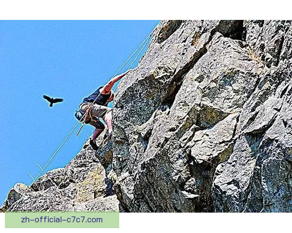 攀岩冠军:悬崖上的飞鹰 终极登峰之路 攀岩冠军:悬崖上的飞鹰 终极登峰之路