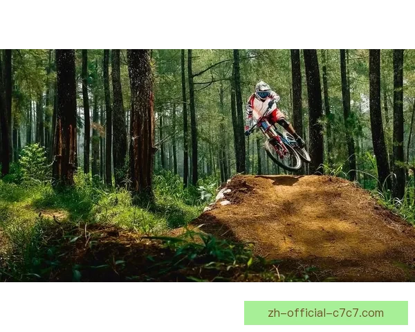 穿越山峰：山地车赛程挑战赛