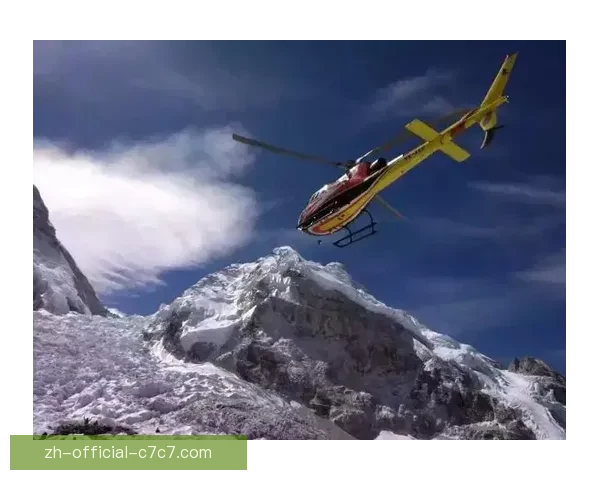 篮球巅峰之路：勇夺冠军的征程